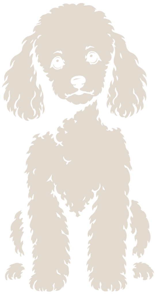 04 - Poodle Sentado Off White.RGB
