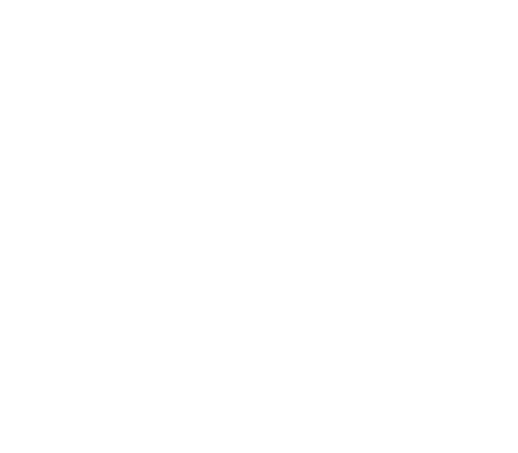 poodle_branco