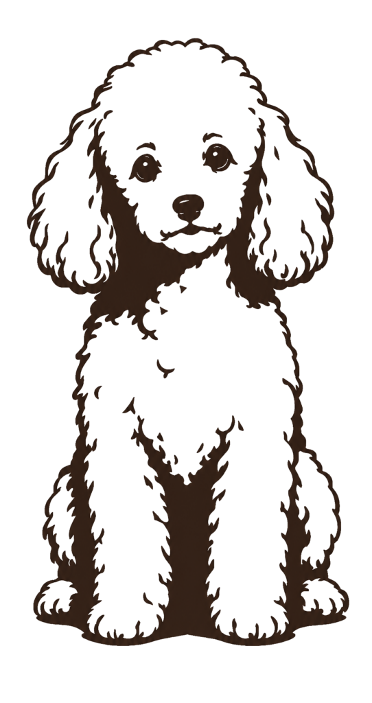 poodle-lineart